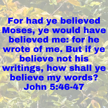 IMG_0319.png
