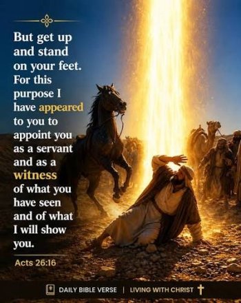 Exhortation - October 12, 2026
