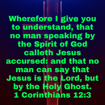 IMG_3819.png