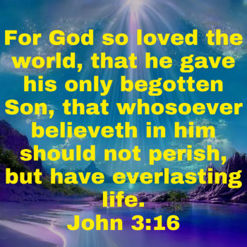 IMG_0764.png