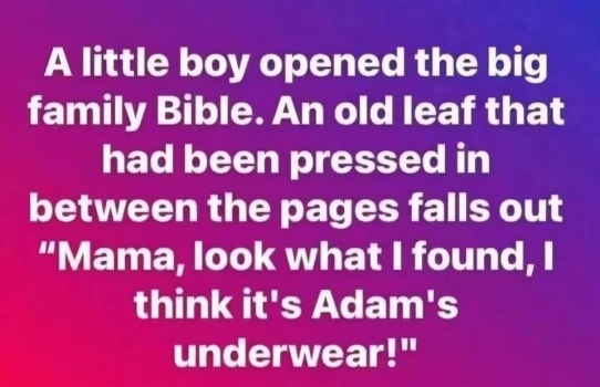 1791985860905.png