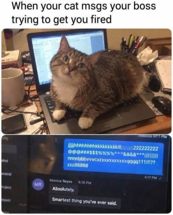 1792017095519.png
