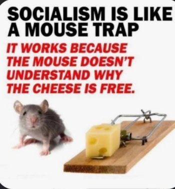 1000015022.jpg 1000015022.jpg