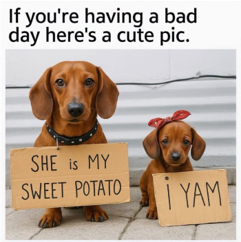 1792157150103.png