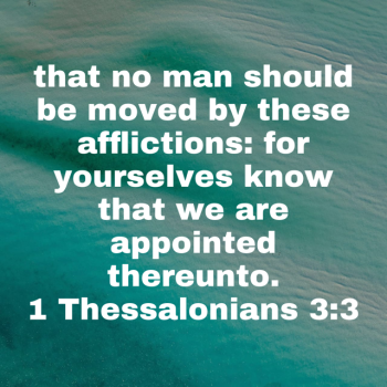 IMG_0772.png