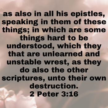 IMG_0776.png