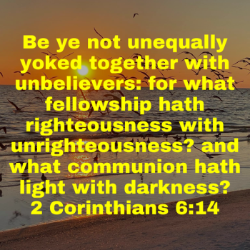 IMG_0777.png