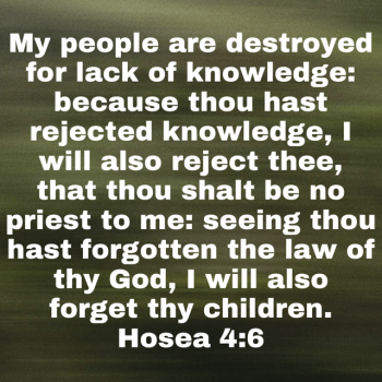 IMG_0779.png