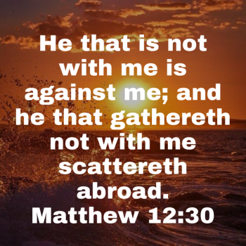 IMG_0349.png IMG_0349.png