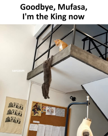 1792436335961.png