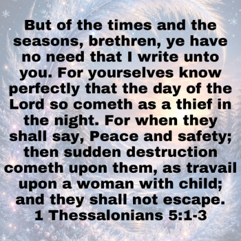 IMG_0351.png