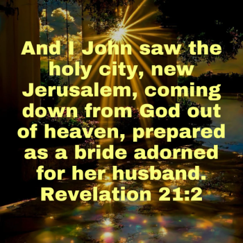 IMG_0784.png IMG_0784.png