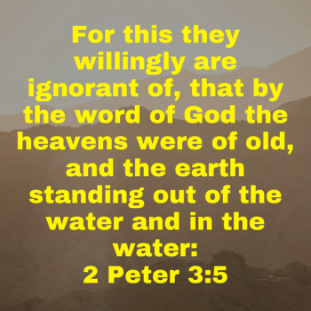 IMG_0788.png IMG_0788.png
