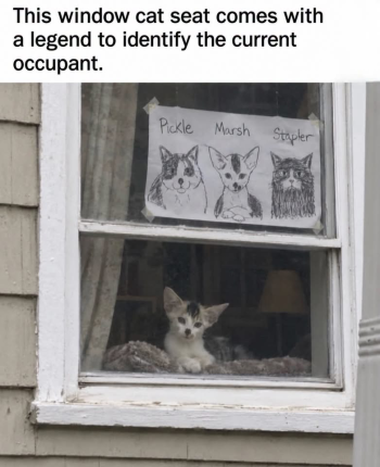 1792674431876.png
