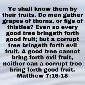 IMG_0789.png IMG_0789.png