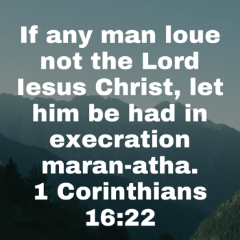 IMG_0355.png