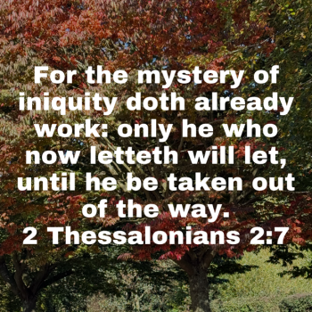 IMG_0794.png