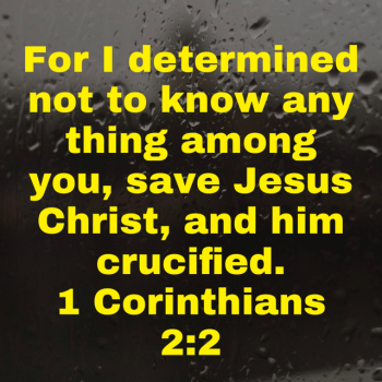 IMG_0795.png IMG_0795.png