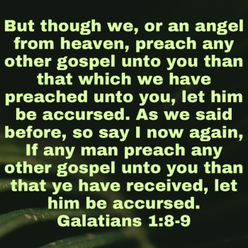 IMG_0790.png