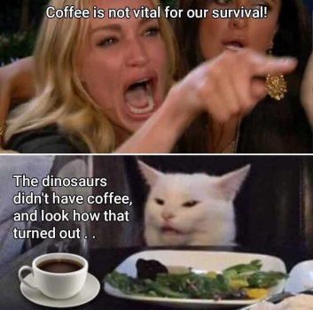 1793023911437.png