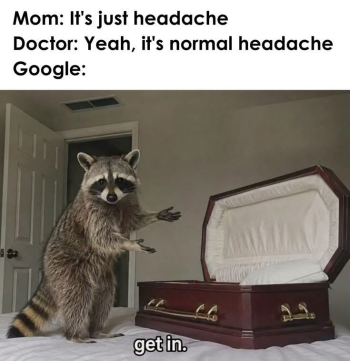 1793056336890.png