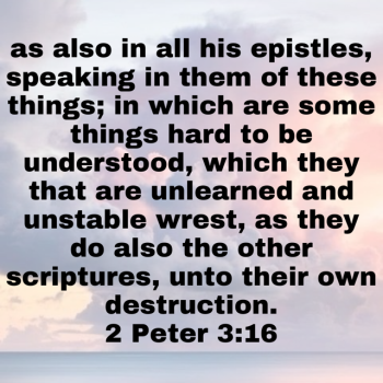 IMG_0803.png IMG_0803.png