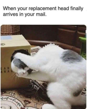 1793132662859.png