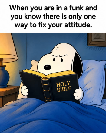 1793147940308.png