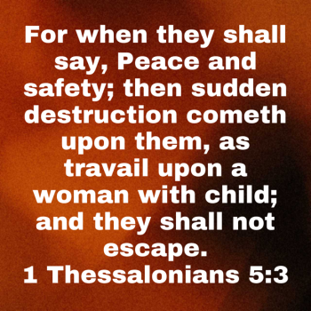 IMG_0775.png