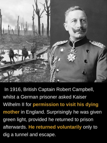 1793412319733.png