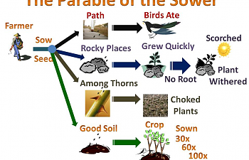 Parable - Sower.png