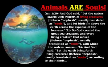 Animals.jpg