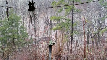 20180221_124523-849x478.jpg 20180221_124523-849x478.jpg