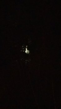 20180225_005948-1195x2124.jpg