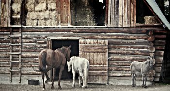 100 Mile House, BC.jpg