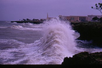 High against the reefs near compound Dom Rep.jpg