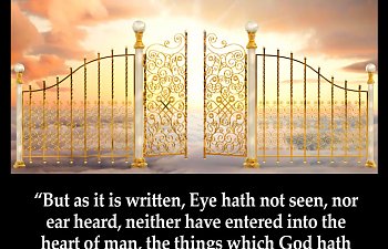 SEEING WITH DISCERNMENT AND UNDERSTANDING