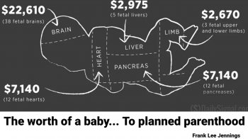 1540192784597-1280x720.jpg 1540192784597-1280x720.jpg
