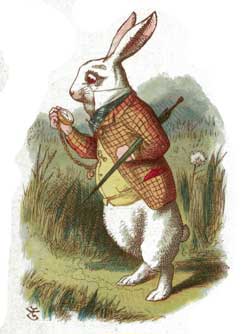 white-rabbit.jpg