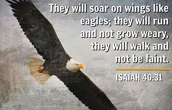 Daily Word - November 10, 2018