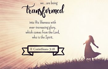 Seeking Communion - December 27, 2018