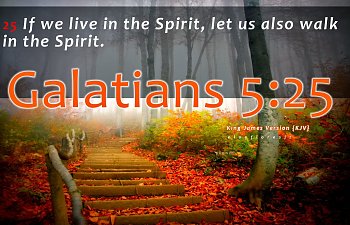 DEVELOPING OUR SPIRIT