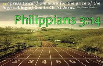 Seeking Communion - February 21, 2019