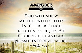 Seeking Communion - February 25, 2019