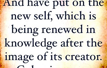 Seeking Communion - March 15, 2019