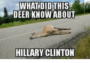 what-did-this-deer-know-about-hillary-clinton-25508482.png