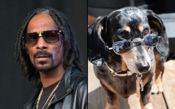 snoop-lookalikes_3553322k_trans_NvBQzQNjv4BqqVzuuqpFlyLIwiB6NTmJwfSVWeZ_vEN7c6bHu2jJnT8.jpg