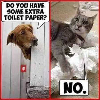 FB_IMG_1562120551614.jpg