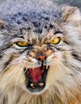 upload_2019-7-7_14-24-44.png upload_2019-7-7_14-24-44.png