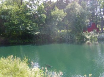 Our pond in West Falls Summer.jpg